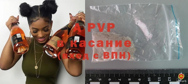 твердый Майский