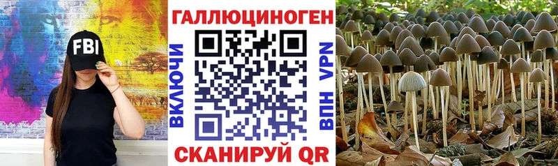 Галлюциногенные грибы прущие грибы Неман